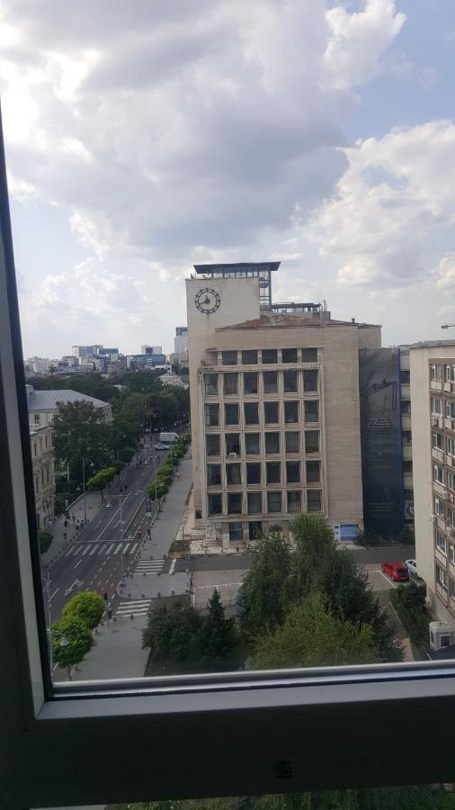 Calea Victoriei Studio Bucarest Exterior foto